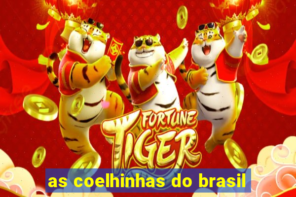 as coelhinhas do brasil